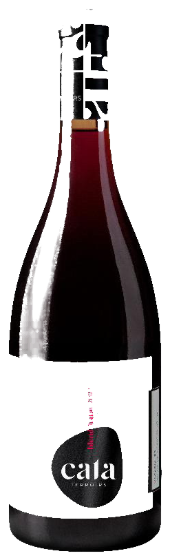 Cata Sangiovese Cabernet Barrica — vinho tinto harmonização Obrador
