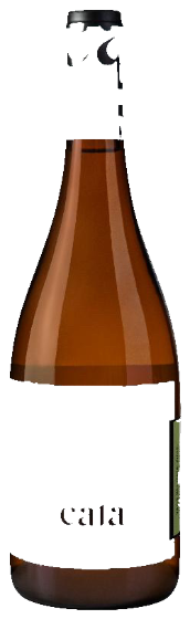 Cata Sauvignon Blanc — vinho branco harmonização Obrador